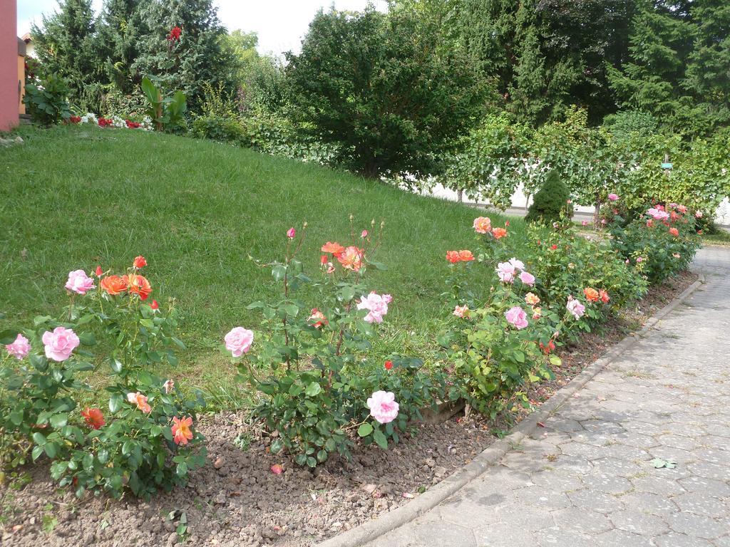 Gitzelbrunnen Villa Epfig Екстериор снимка